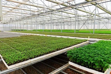 Түркістан облысының әкімдігі