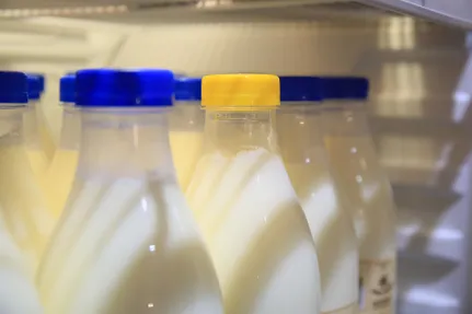 Руслан Пряников