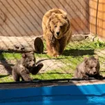 Акимат Алматы