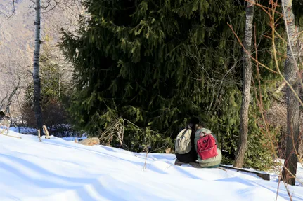 Руслан Пряников