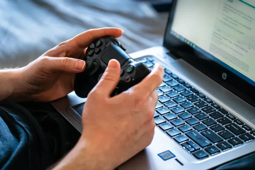 Castorly Stock/Pexels