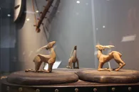 Фото: Алматы әкімдігі