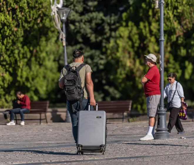 Doğan Alpaslan Demir / pexels