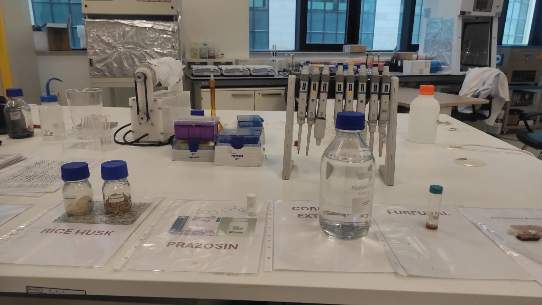 Айнұр Шошаева/QazMonitor