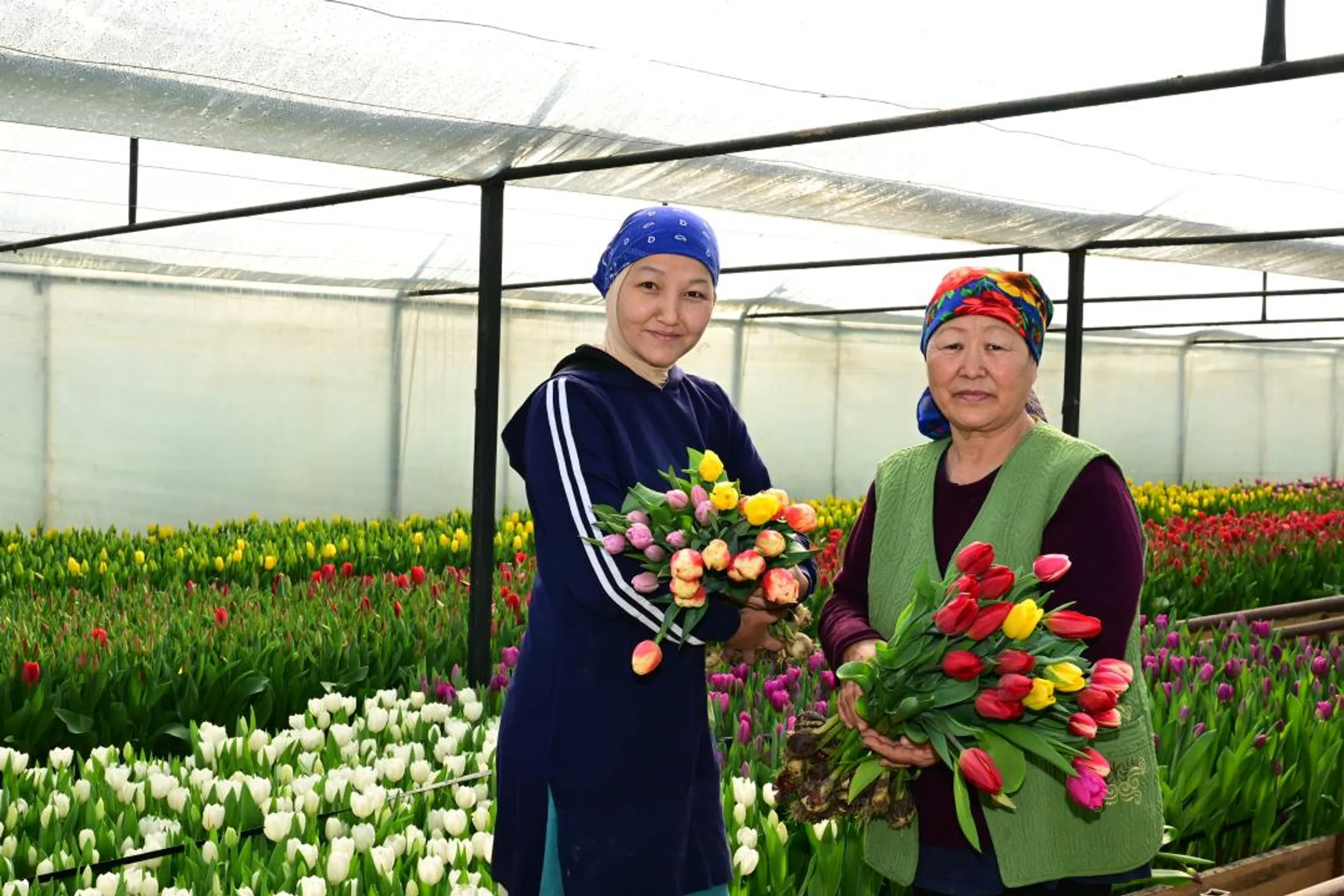 Дмитрий Ерофеев/Акимат области Жетысу