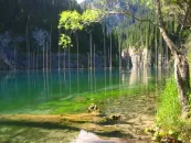 Фото: Алматы қаласының әкімдігі