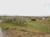 Акимат Туркестанской области 