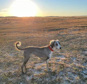 Акимат Карагандинской области