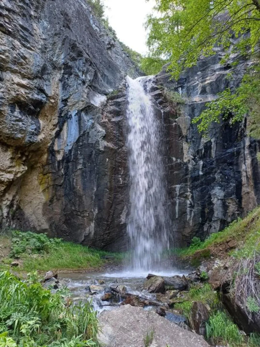 Фото: акимат области Жетысу