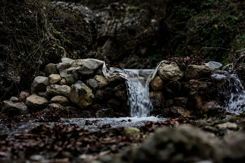 Doğan Furkan Yeşilırmak / pexels
