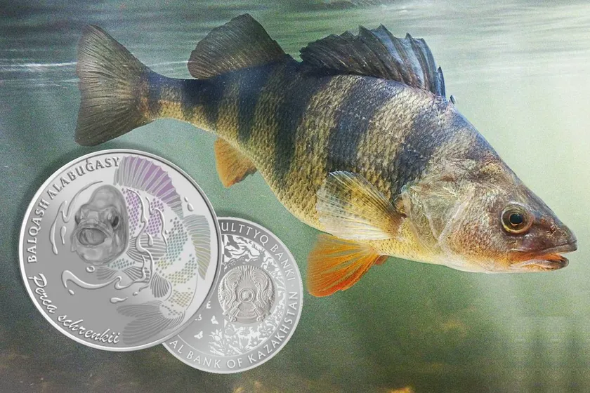 Collage by QazMonitor (National Bank of Kazakhstan, fishbiosystem.ru)