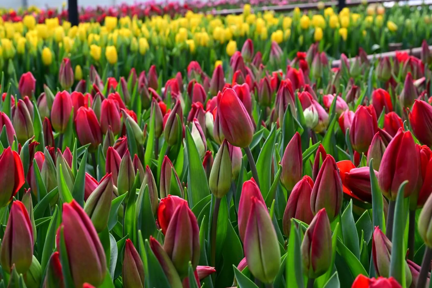 Дмитрий Ерофеев/Акимат области Жетысу