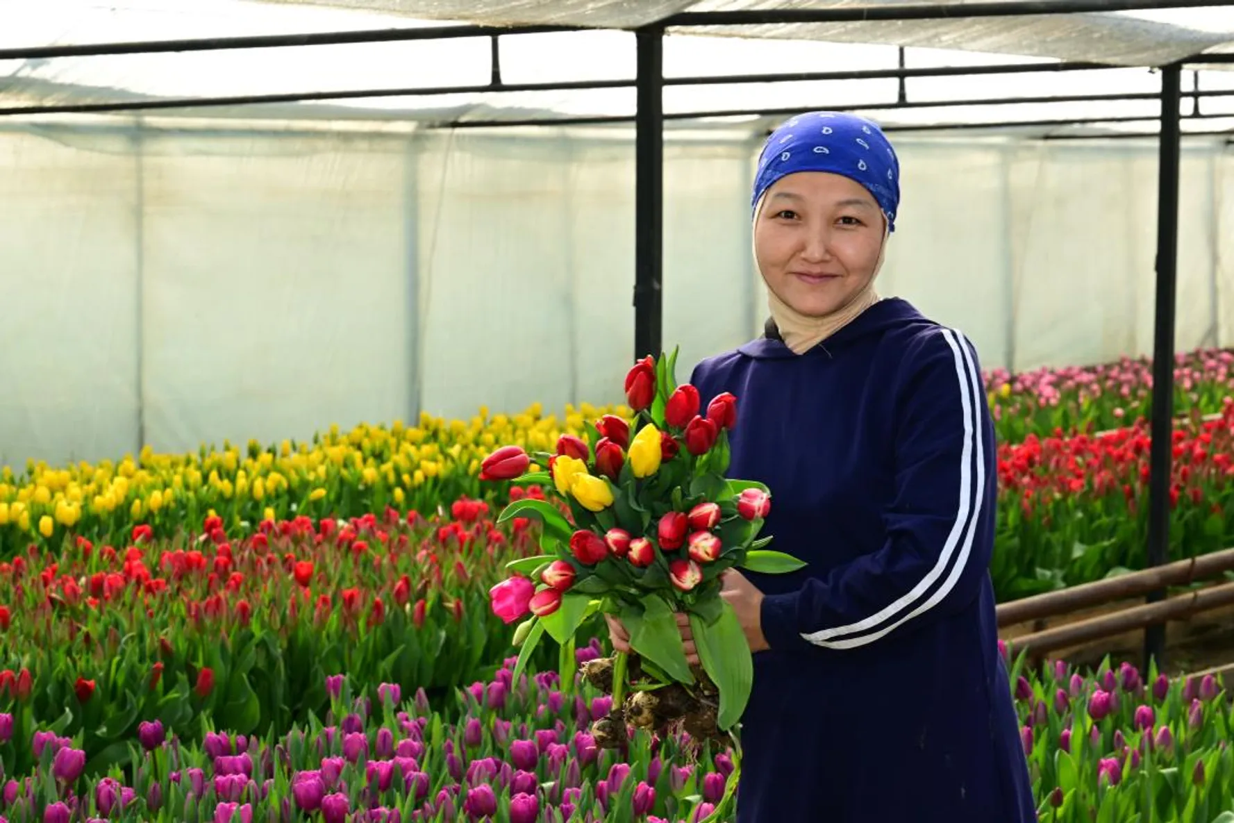 Дмитрий Ерофеев/Акимат области Жетысу