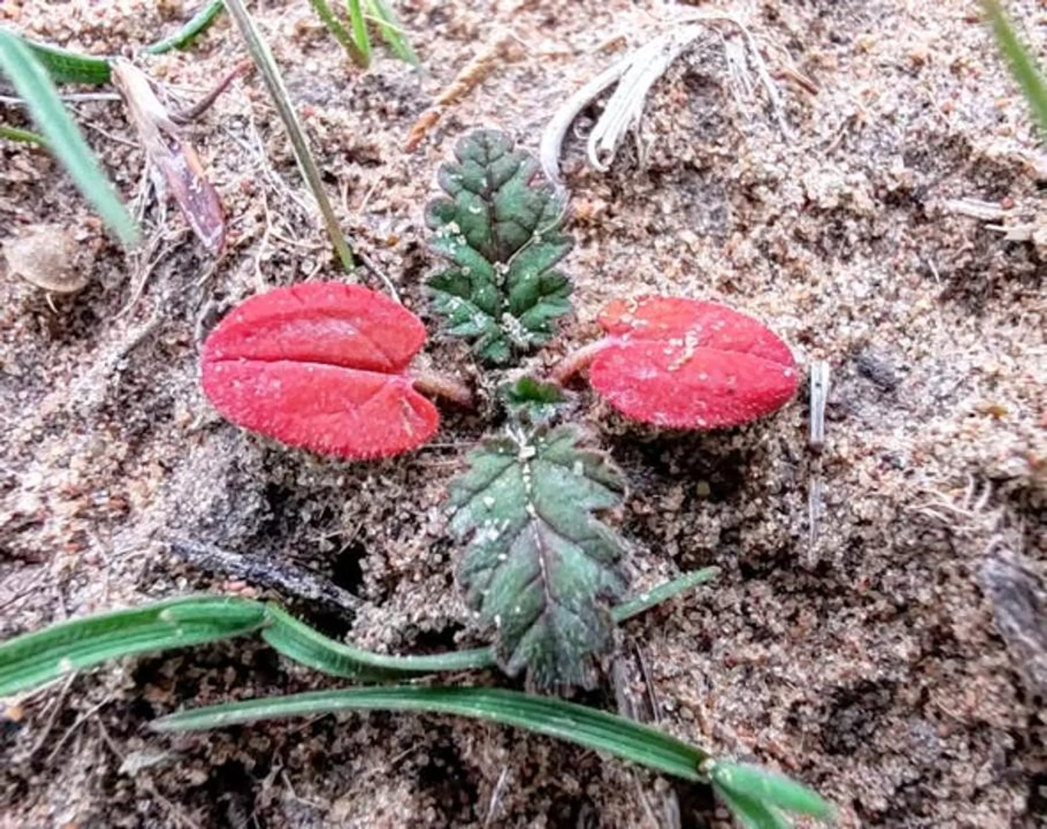 Фото: Ғани Назарбек