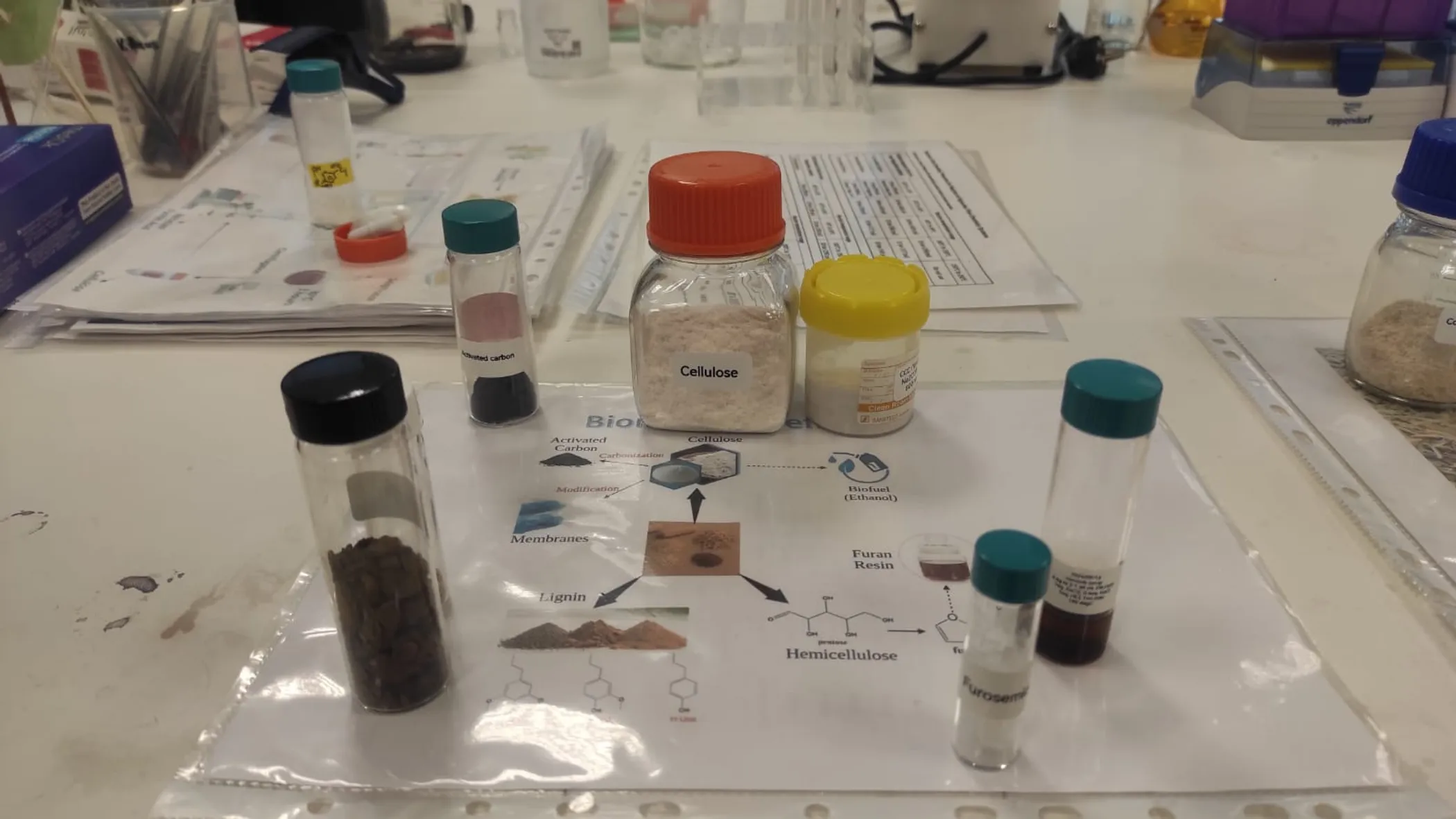 Айнұр Шошаева/QazMonitor