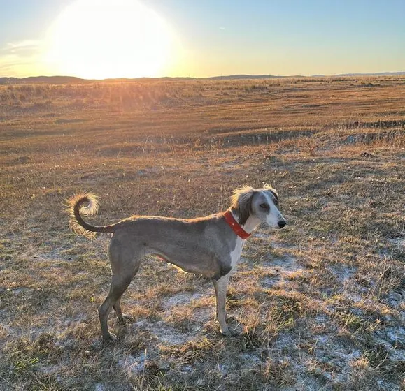 Акимат Карагандинской области