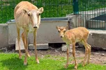 Акимат Алматы