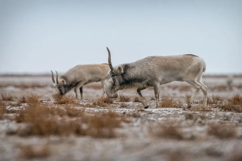Комитет по экологии и природным ресурсам