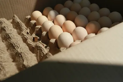 Руслан Пряников