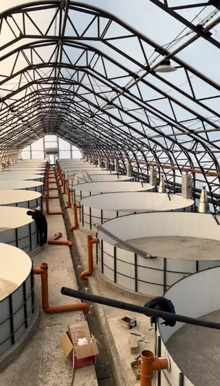 Шығыс Қазақстан облысының әкімдігі