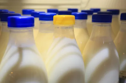 Руслан Пряников