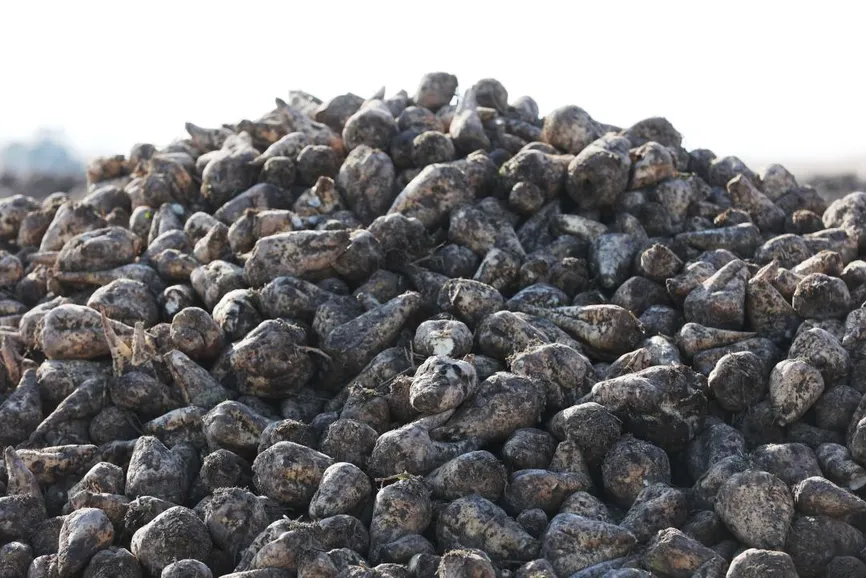 Жамбыл облысының әкімдігі