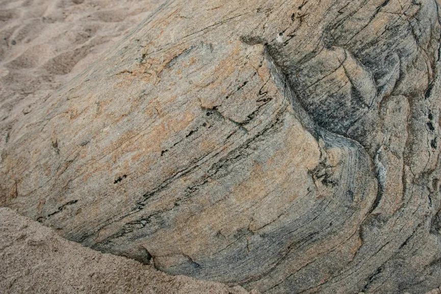 Pelexs / Renata Jurgutytė Adida