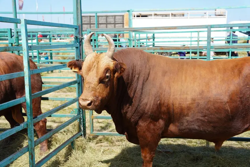 Фото: Минсельхоз РК