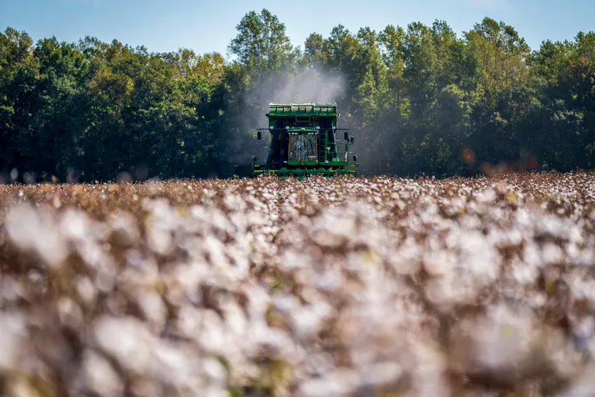 Mark Stebnicki/Pexels 