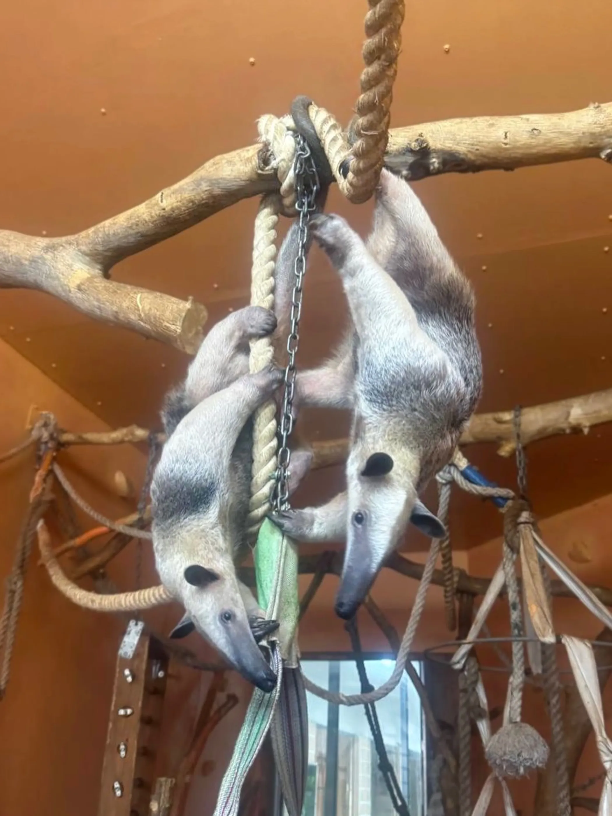 Фото: зоопарк Алматы