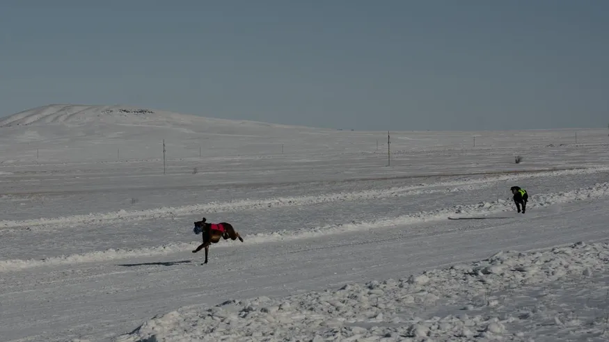Акимат Карагандинской области