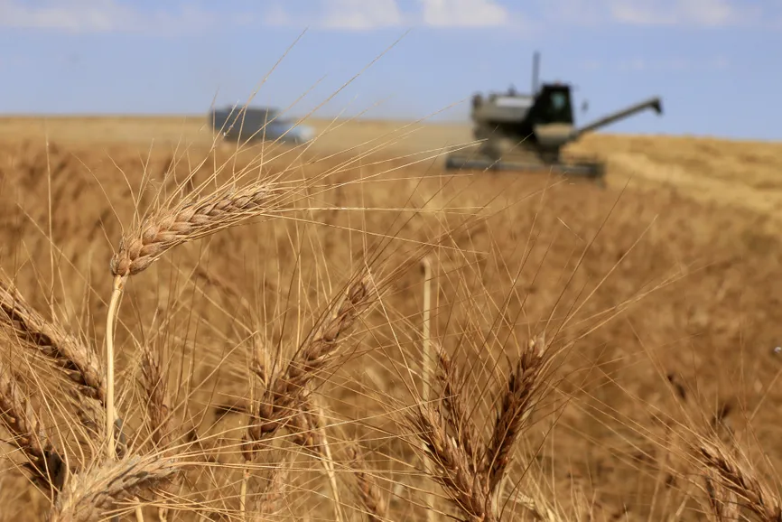 Руслан Пряников