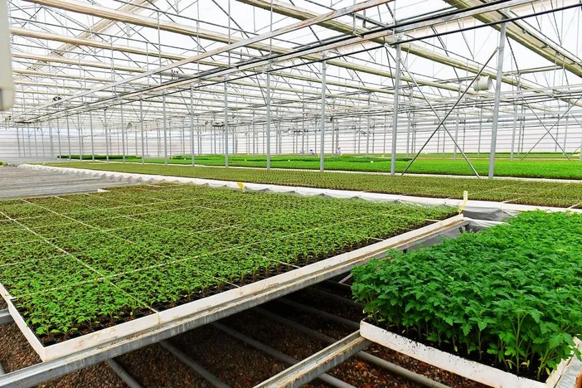 Түркістан облысының әкімдігі