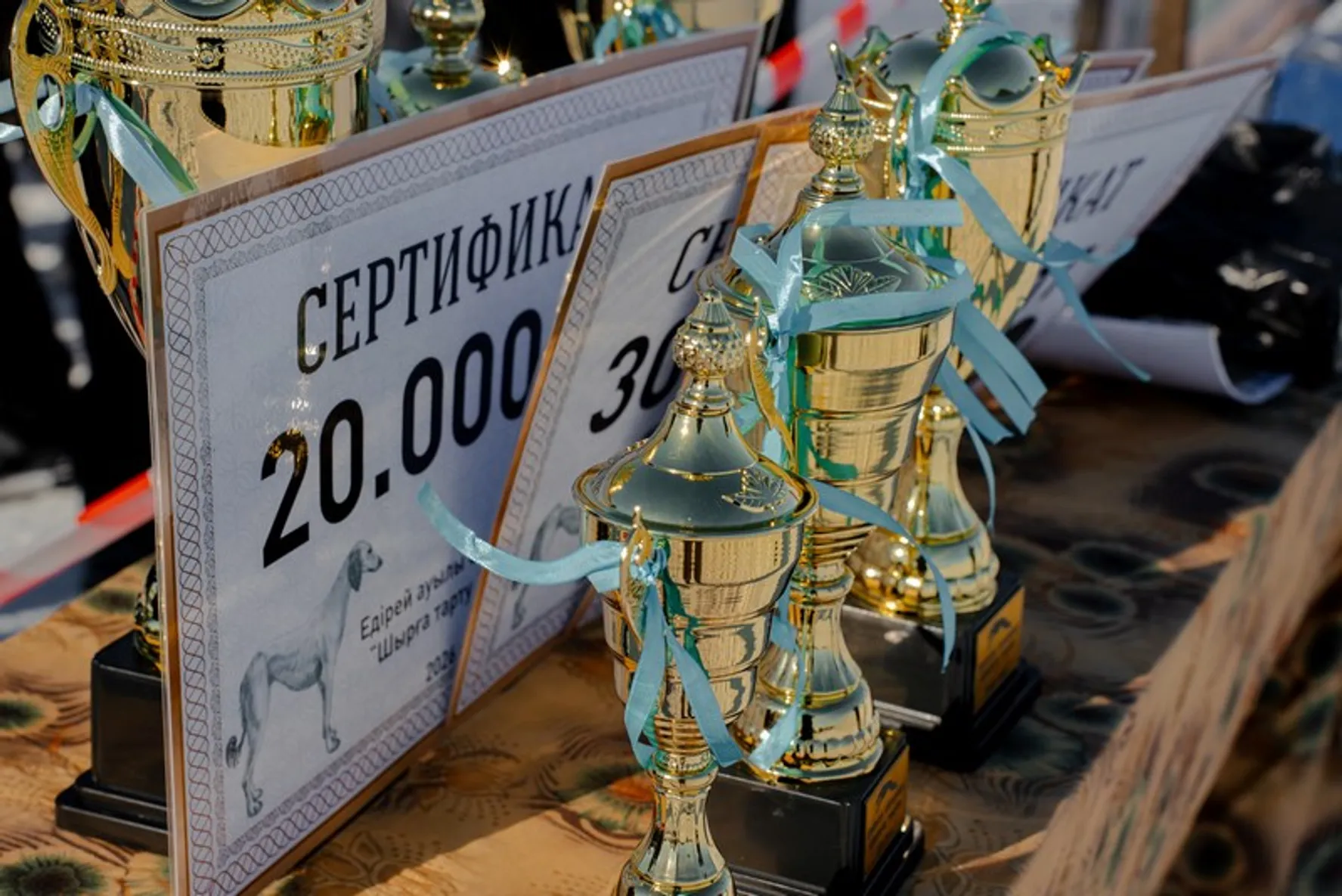 Акимат Карагандинской области