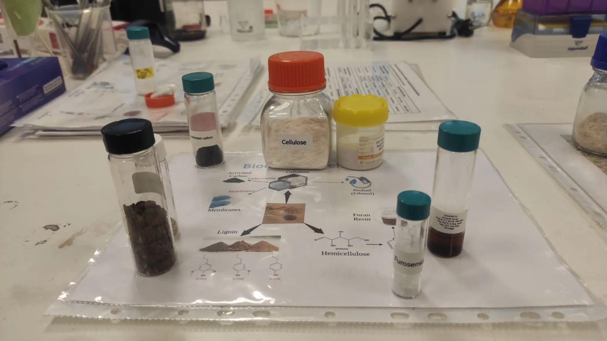 Айнур Шошаева/QazMonitor