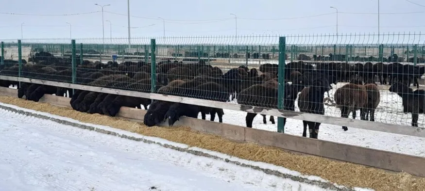 ҚР Ауыл шаруашылығы министрлігі