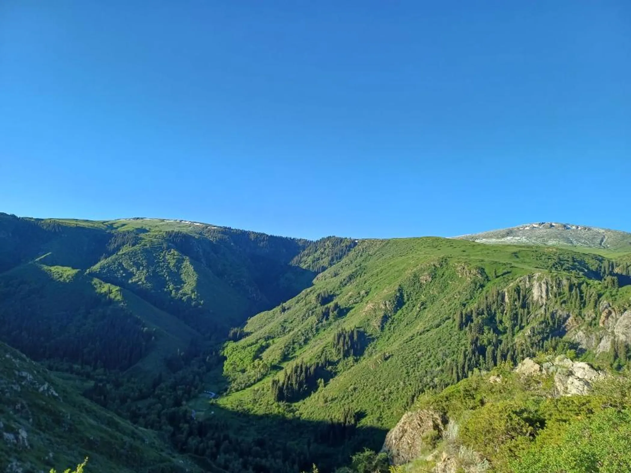 Фото: акимат области Жетысу