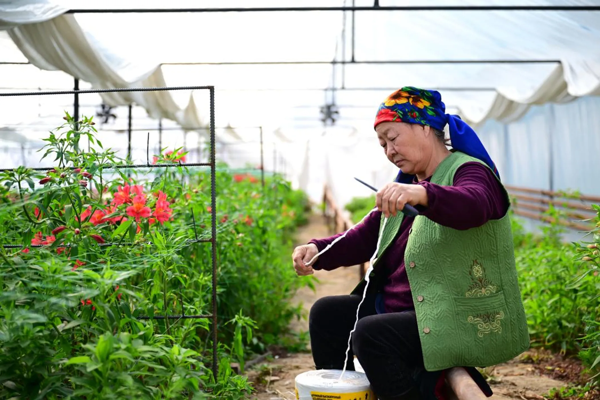Дмитрий Ерофеев/Акимат области Жетысу