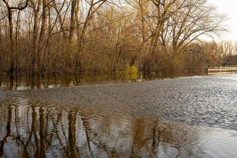 Фото: Tom Fisk/pexels