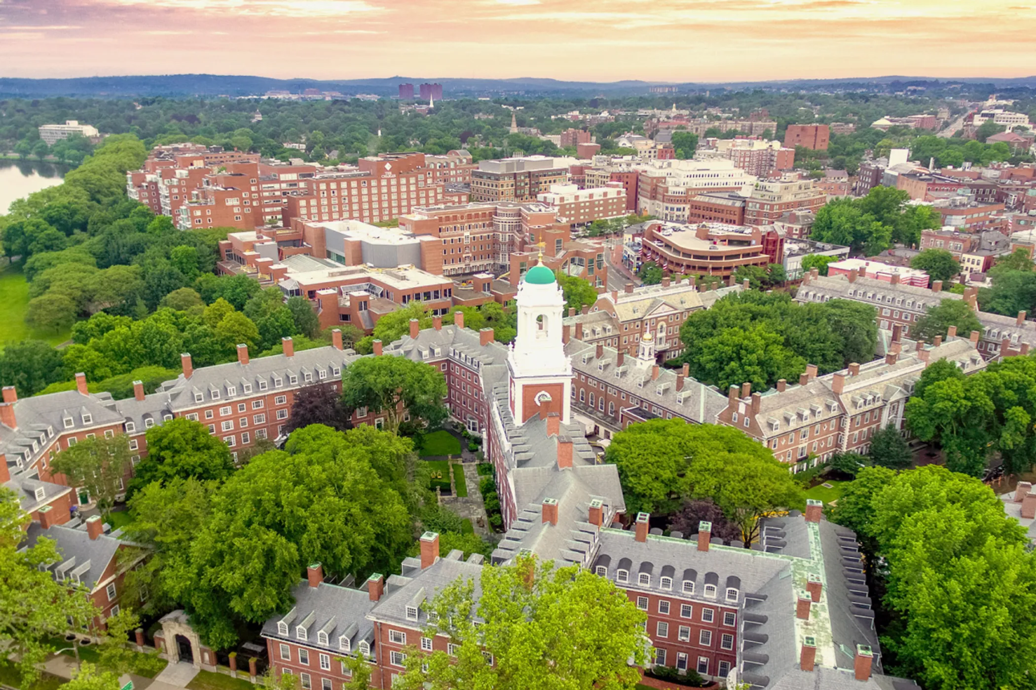 Harvard University