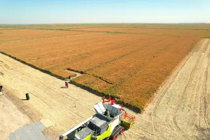 Қызылорда облысының әкімдігі