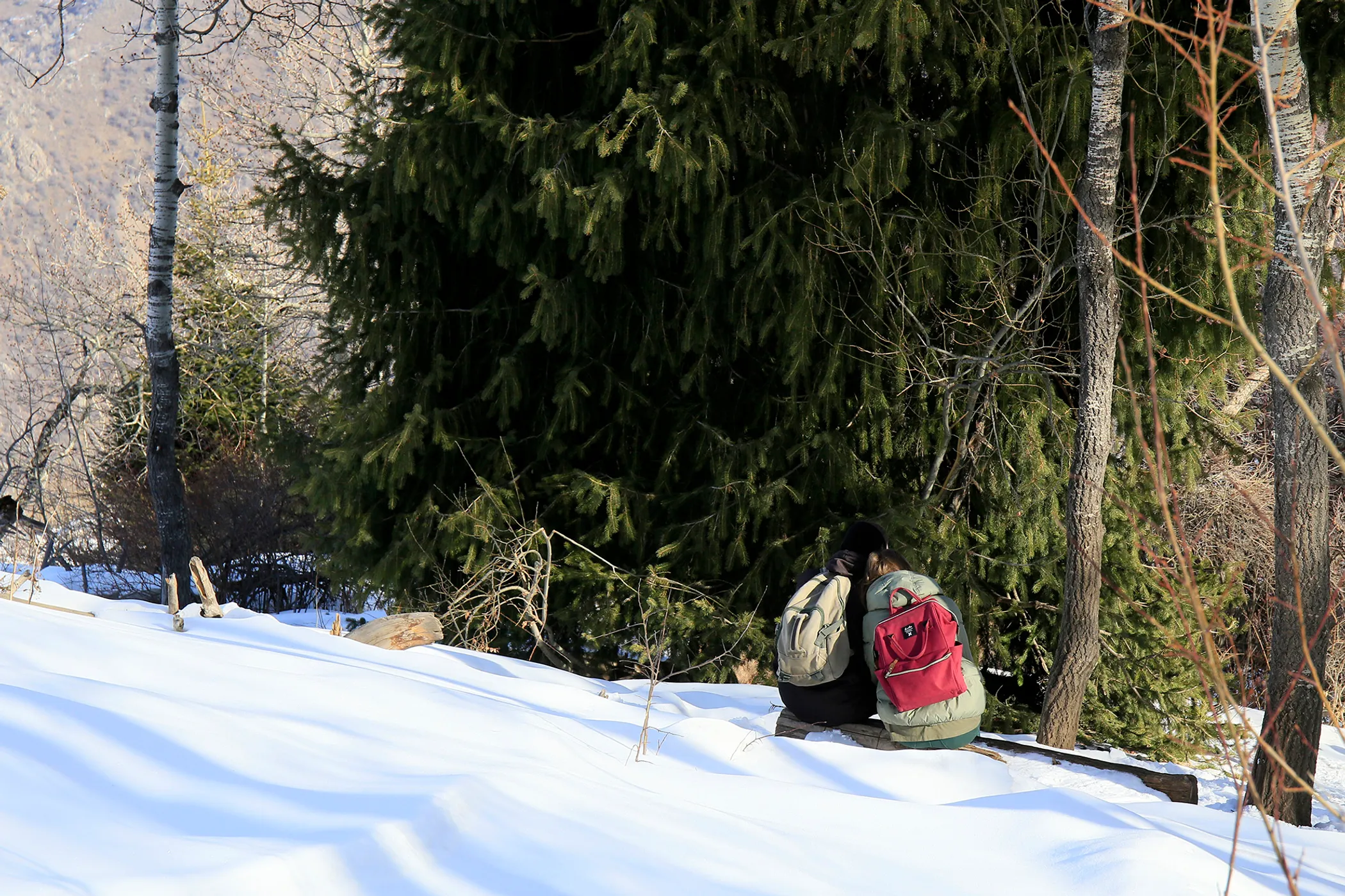 Руслан Пряников