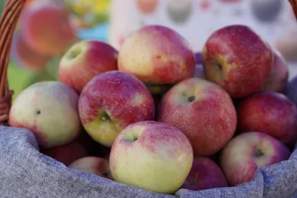 Ministry of Agriculture