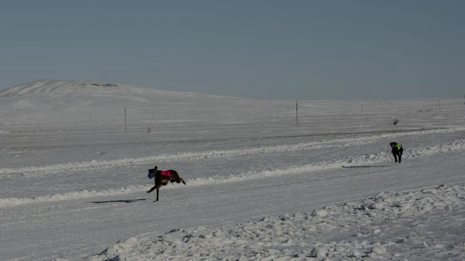 Акимат Карагандинской области