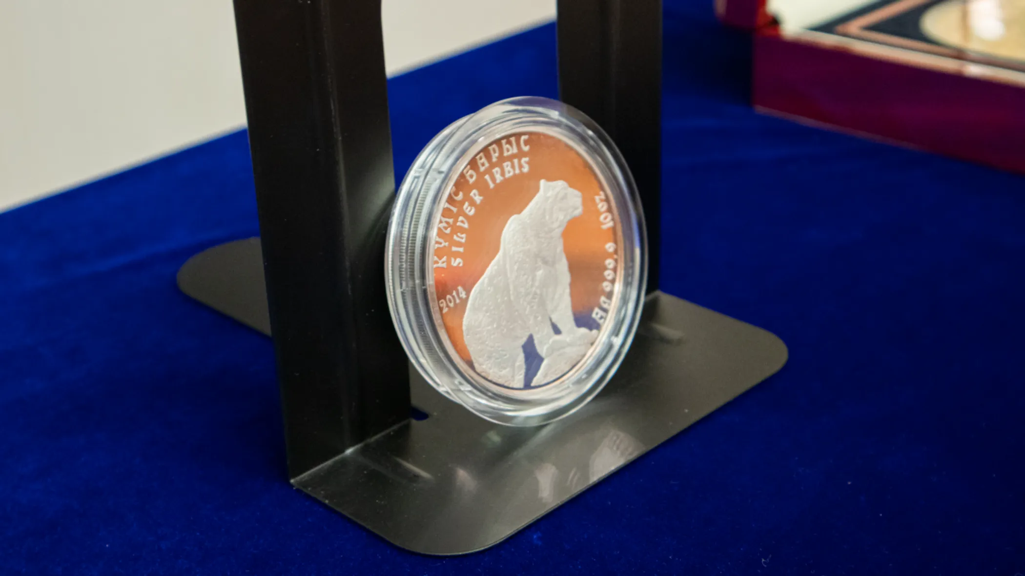 Adelina Kulyashkina/QazMonitor