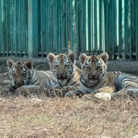 Акимат Алматы