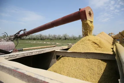 Руслан Пряников