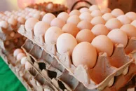 Руслан Пряников