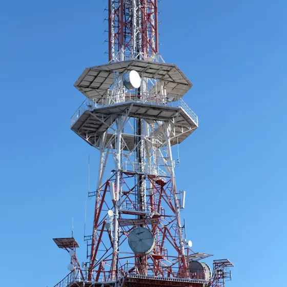 Roman Biernacki/Pexels