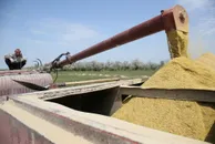 Руслан Пряников 